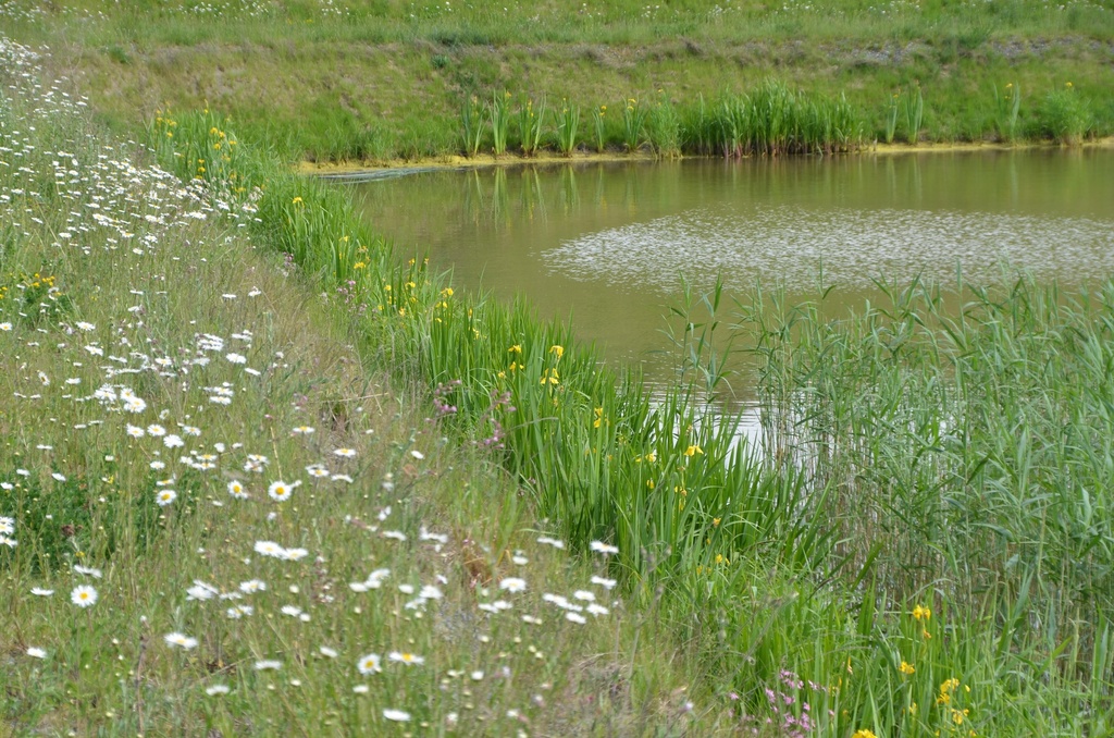 Mélange berges 90/10