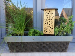 Hôtel à insectes pour jardinière