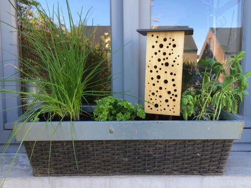 Hôtel à insectes pour jardinière